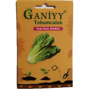 Yedi Kule Marul Tohumu