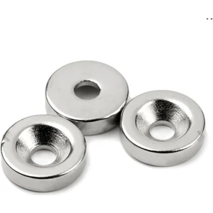 Dünya Magnet Neohobi Neodyum Mıknatıs Havşa Delikli D10XD8/4X5 (3'lü Paket)