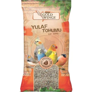 Gold Wings Yulaf Tohumu 300 gr