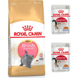 Royal Canin British Shorthair Kitten Kedi Maması 2 kg + Royal Canin Jel Yaş Mama 2 Adet