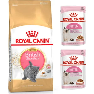 Royal Canin British Shorthair Kitten Yavru Kedi Maması 2 kg + Royal Canin Kitten Yaş Mama 2 Adet