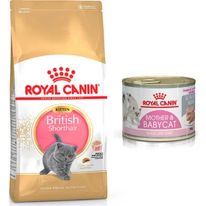 Royal Canin British Shorthair Kitten Yavru Kedi Maması 2 kg + Royal Canin Mother & Baby Konserve 195 gr