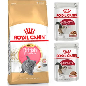 Royal Canin British Shorthair Kitten Yavru Kedi Maması 2 kg + Royal Canin Parça Etli Yaş Mama 2 Adet