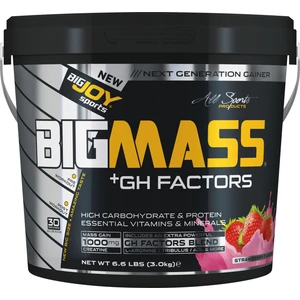 Bigjoy Sports Bigmass Mass Gainer Gh factors Karbonhidrat Protein Çilek Aroma 3000g