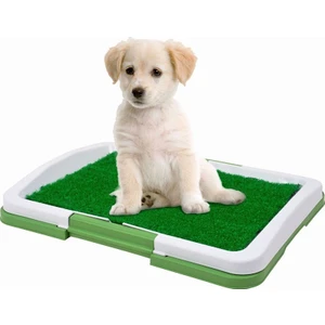 Köpek Tuvalet Eğitim Seti Potty Trainer