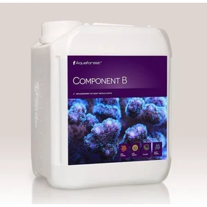 - Component B 2000Ml