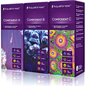 - Component B 200Ml