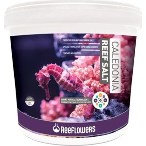 Caledonia Reef Salt 22,5Kg