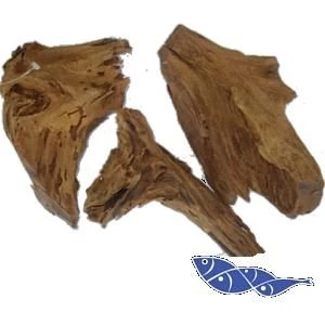 Mangrow Kökü Medium 35-45Cm.