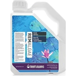 Reeflowers Rem Algae 3000Ml Yosun Giderici