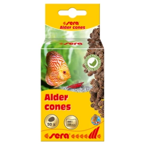 Alder Cones Kızılağaç Kozalağı 50Adet