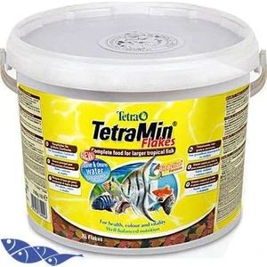 Tetramin Pul Yem 100Gr Açık