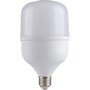 LED Torch Ampul 40 W Beyaz