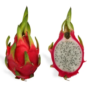 Serdar Çam Tohumculuk Pitaya Ejder Meyvesi Tohumu 10'lu Pithaya Dragon Fruit