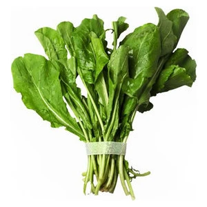 Serdar Çam Tohumculuk Geleneksel Roka Tohumu 100'lü Sebze Tohumu