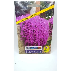 Acem Halısı Tohumu Tekli