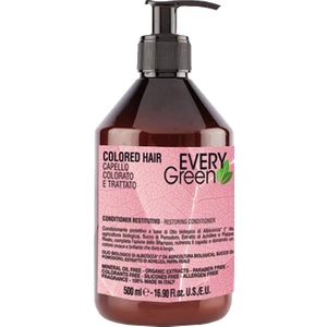 Every Green Colored Hair Renk Koruyucu Saç Kremi 500 ml