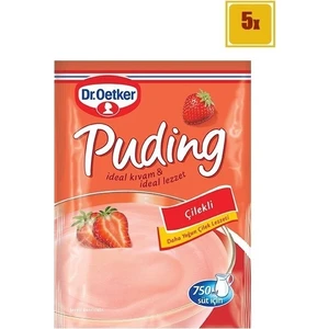 Dr.Oetker Çilekli Puding 125 gr x 5