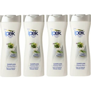 Zayıf ve Koparak Dökülen Saçlar İçin Şampuan 600 ml 4'lü Set