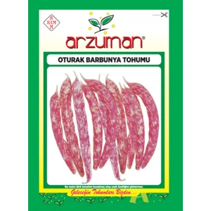Bezelye Oturak Barbunya Tohum