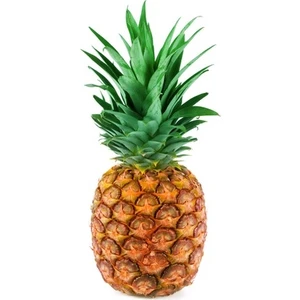 Serdar Çam Tohumculuk Nadir Tropikal Ananas Meyvesi Tohumu 5'li