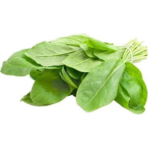 Serdar Çam Tohumculuk Kuzu Kulağı Koç Kulağı Ekşiotu Tohumu 100'lü