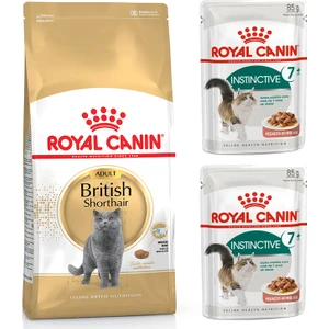 Royal Canin Adult Yetişkin British Shorthair Kedi Maması 2 kg + Royal Canin Instinctive +7 Yetişkin Yaş Kedi Maması 2 Adet