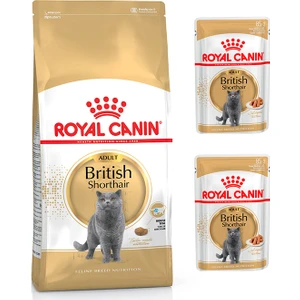 Royal Canin Adult Yetişkin British Shorthair Kedi Maması 2 kg + Royal Canin Yetişkin British Shorhair Yaş Maması 2 Adet