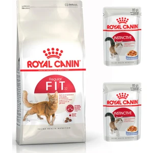 Royal Canin Adult Yetişkin Fit 32 Kedi Maması 2 kg + Royal Canin Jel Yaş Kedi Maması 2 Adet