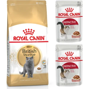 Royal Canin Adult Yetişkin British Shorthair Kedi Maması 2 kg + Royal Canin Instictive  Parça Etli Yaş Kedi Maması 2 Adet