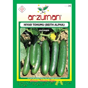 Salatalık Hıyar Tohum Beith Alpha 10 gr