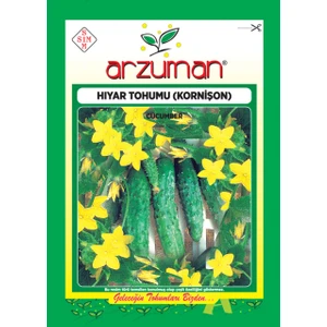 Salatalık Kornişon Hıyar Tohum 10 gr