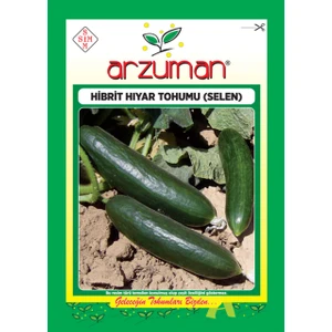 Salatalık Selen Hibrit Hıyar Tohum F1 - 10 gr