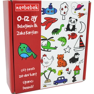 Bebeğimin İlk Zeka Kartları