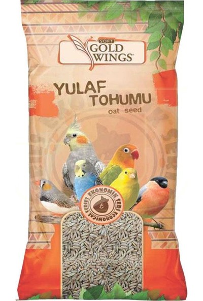 Gold Wings Yulaf Tohumu 300 gr