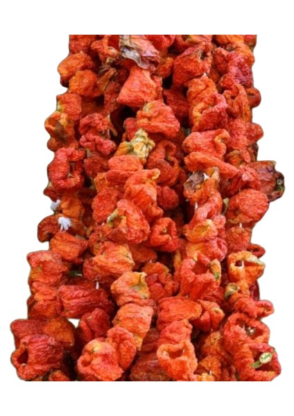 Dolmalık Biber Kurusu 45-50'li 1 Dizi