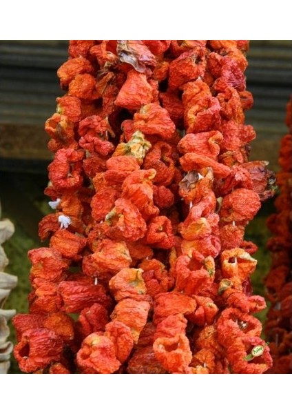 Dolmalık Biber Kurusu 45-50'li 1 Dizi fiyatları