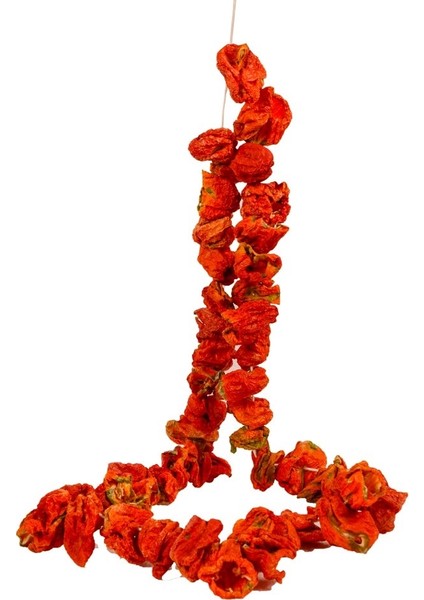 Dolmalık Biber Kurusu Acı 45-50'li 1 Dizi