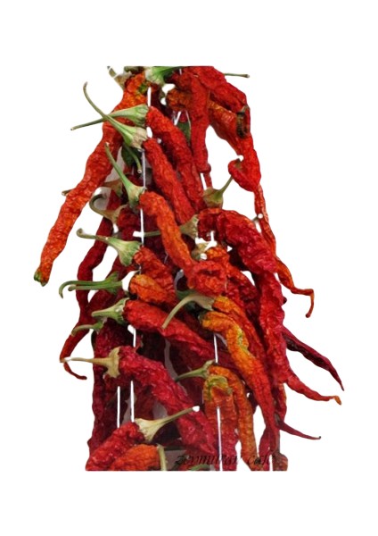 Kızartmalık Biber Tatlı