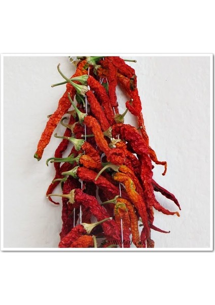 Kızartmalık Biber Tatlı fiyatları