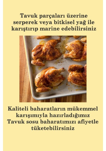 Tavuk Sosu Baharatı 250 gr