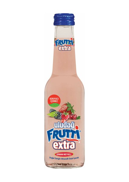 Extra Orman Meyve 250 ml