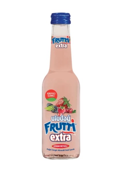 Extra Orman Meyve 250 ml