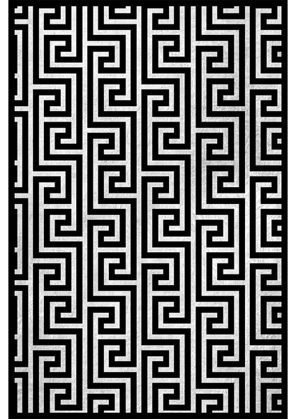 Kaymaz Taban Yıkanabilir Geometrik Labirent Desenli Dijital Baskılı Halı RSP410