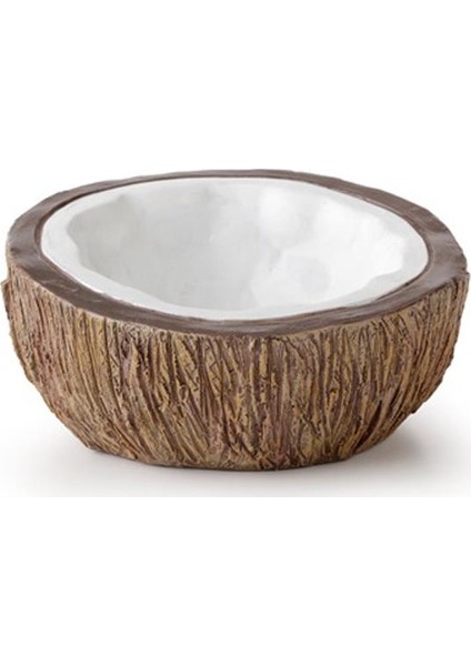 Ex Coconut Su Kabı