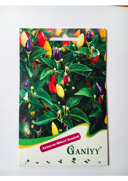 Arnavut Biberi Tombul Tohumu