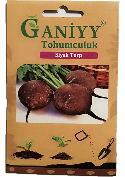 Siyah Turp Tohumu