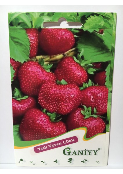 Yedi Veren Çilek Tohumu