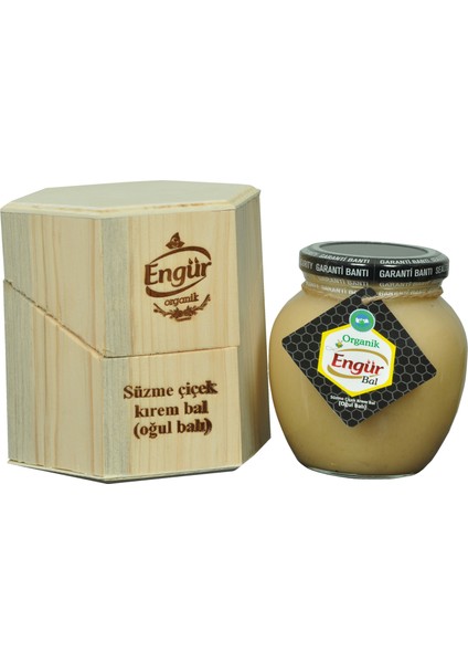 Oğul (Krem) Balı 470 gr fiyatları