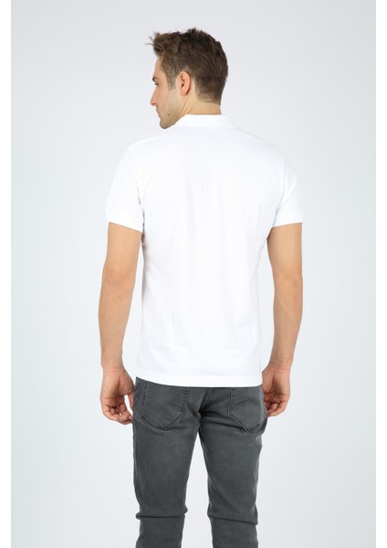 Classic Erkek Polo Yaka Pike Tişört modelleri